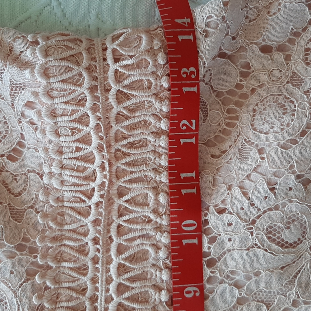 Francescas Closet Dusty Pink Lace Mini - Picture 5 of 9